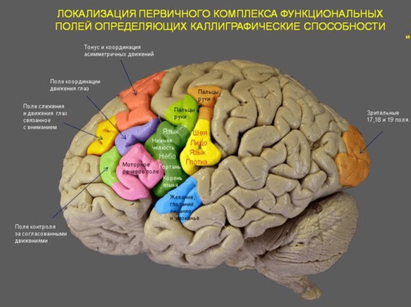 ч