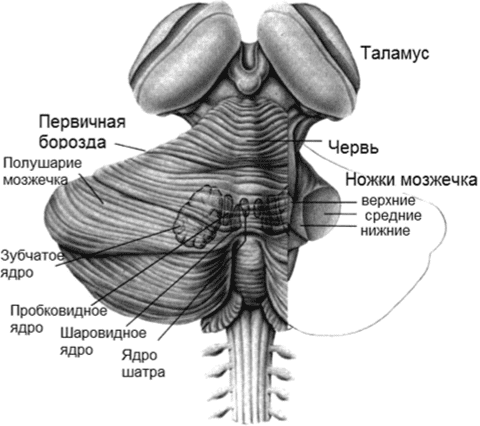 с