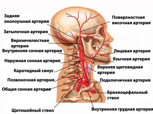 и
