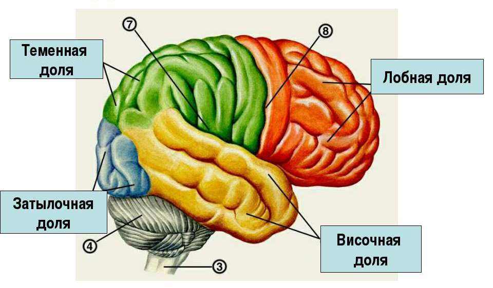 с