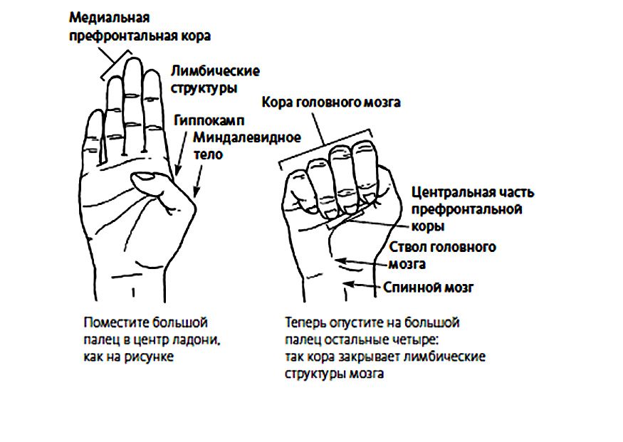 н