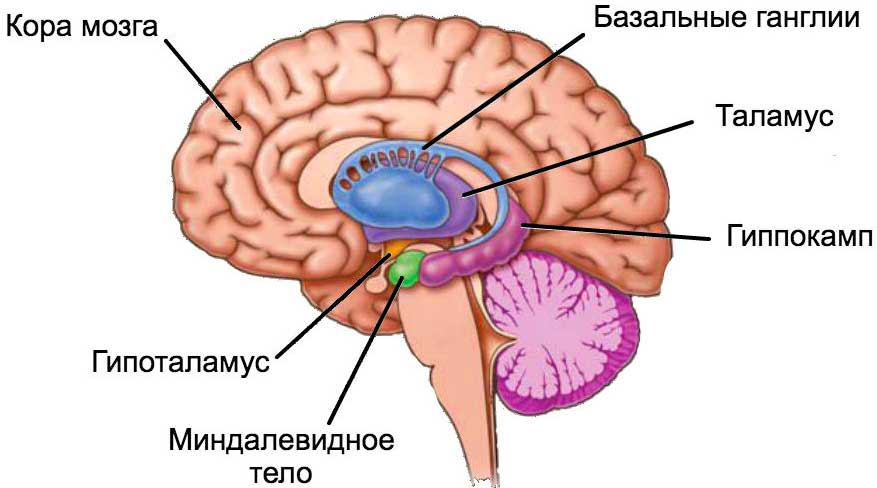 а