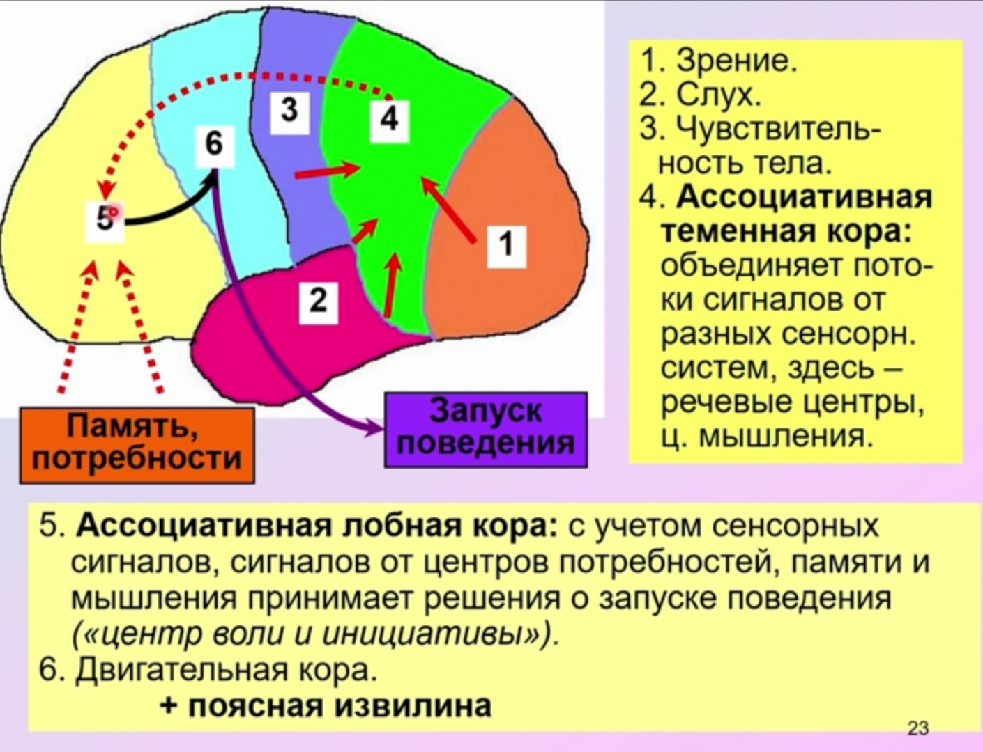 с