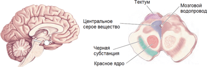 и