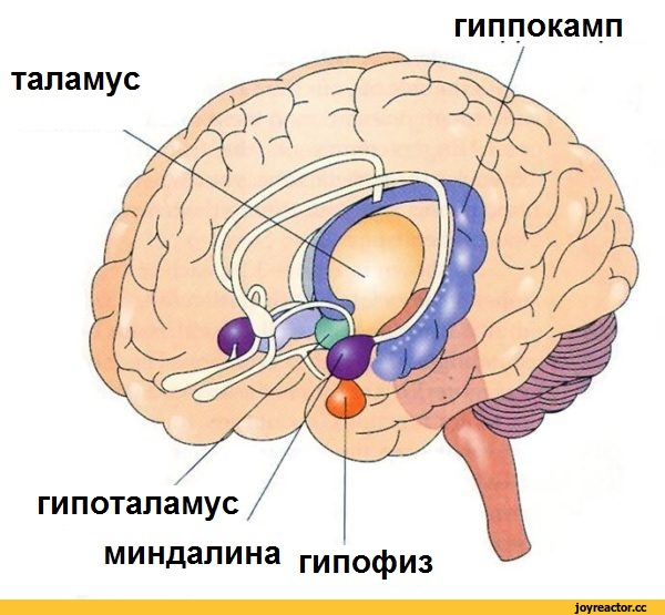 с