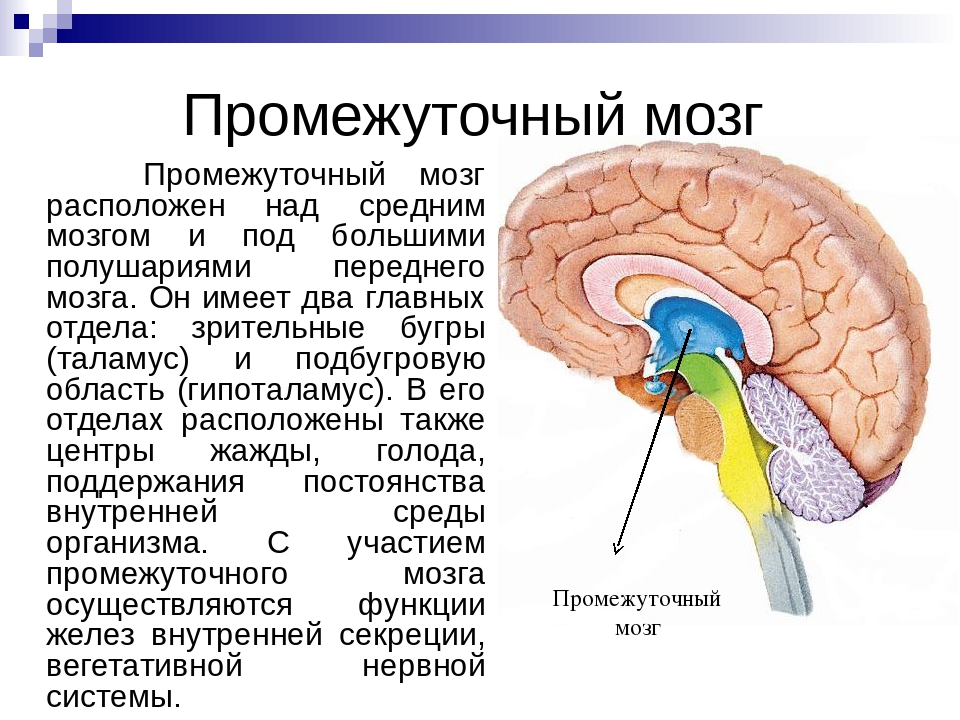 с