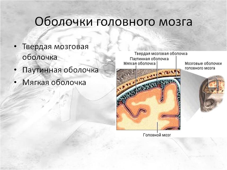 и