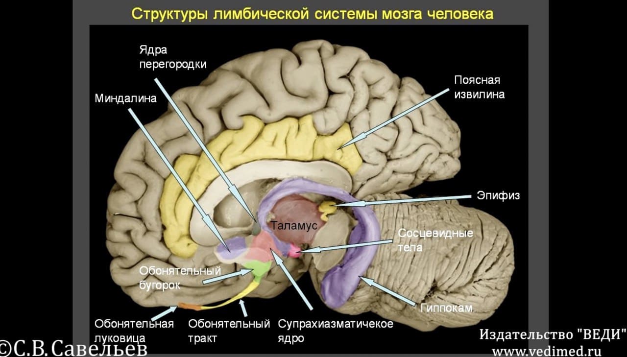 и