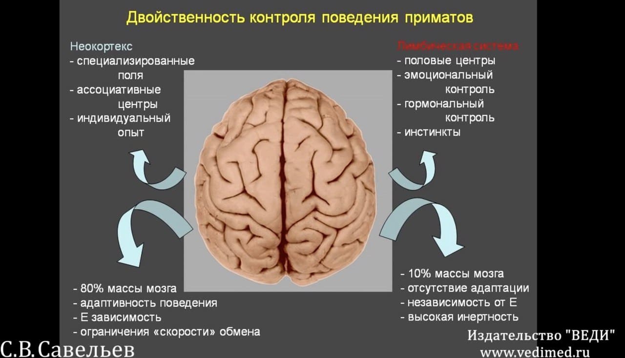 м