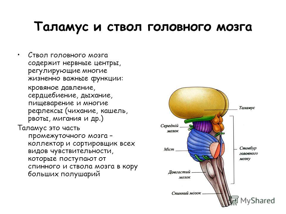 м