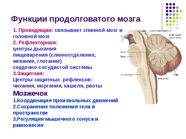 м