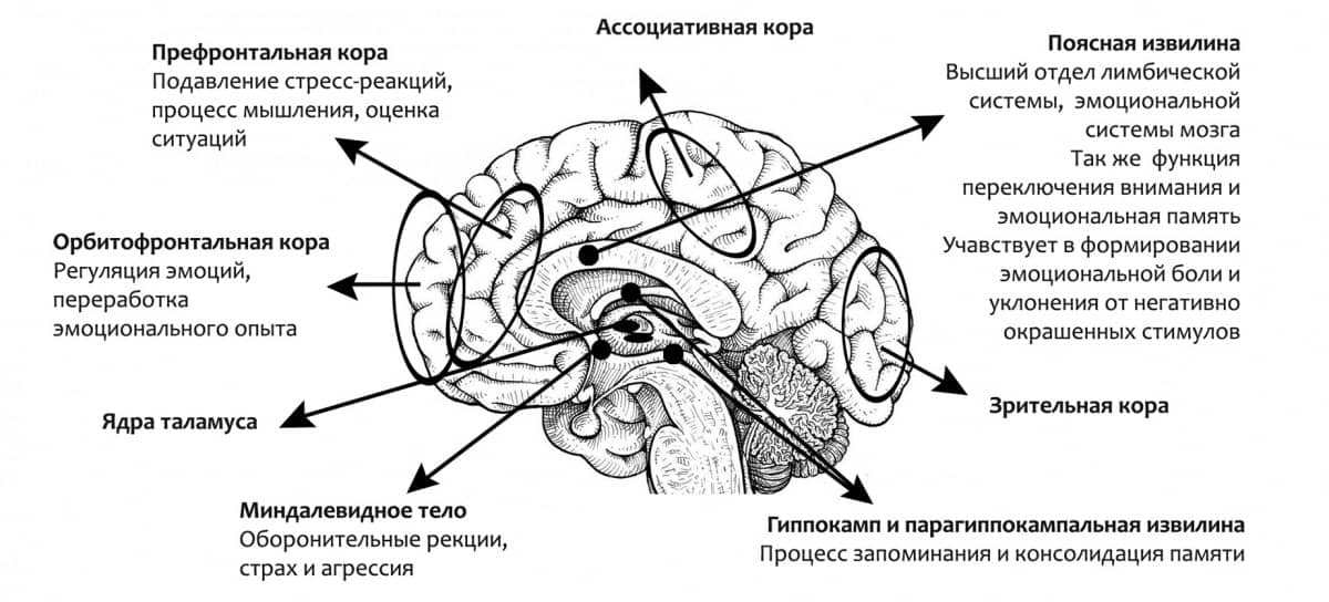 и