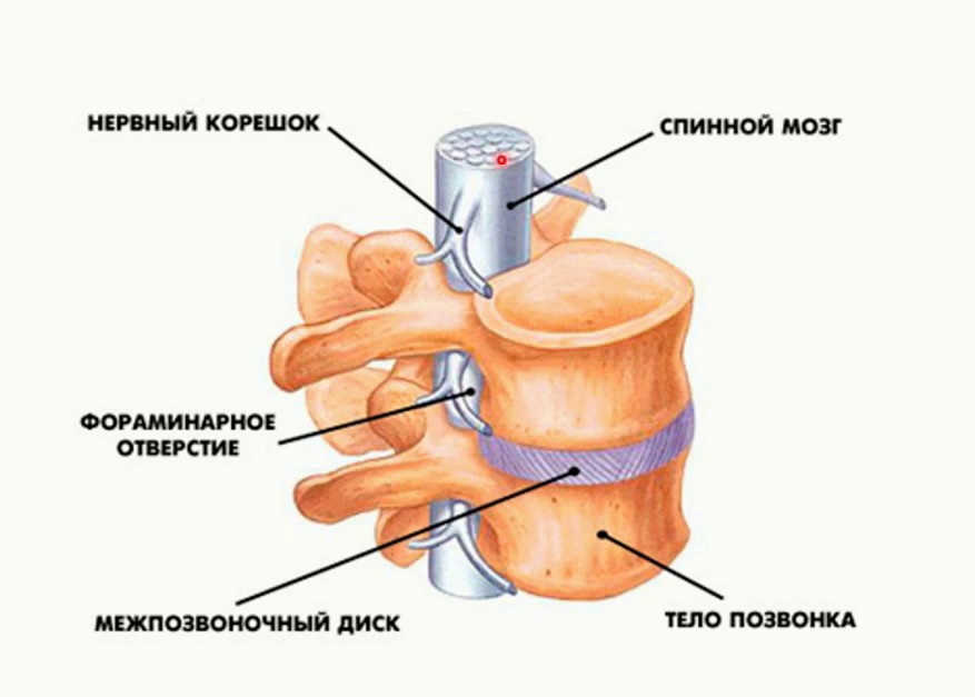 с