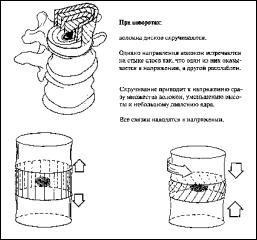 м