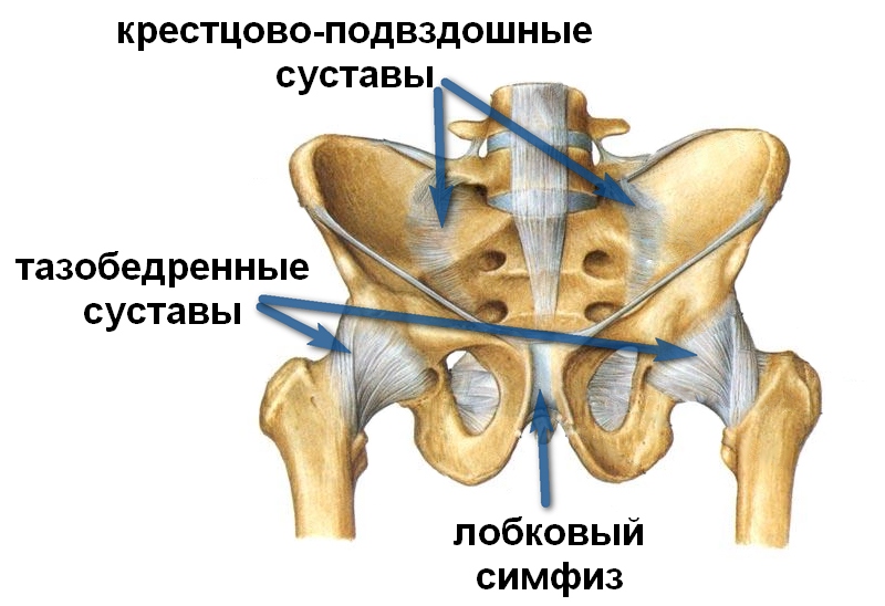м
