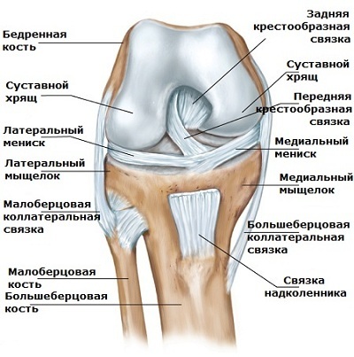 м
