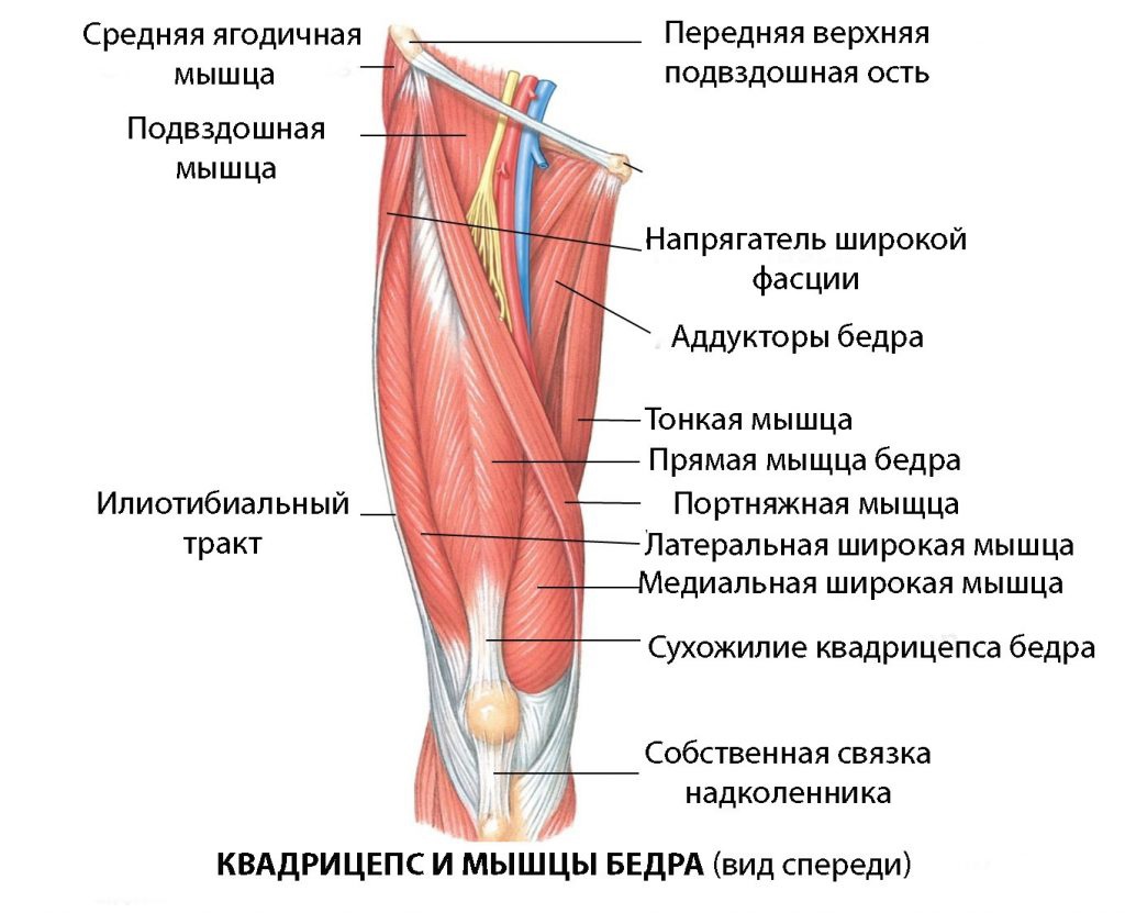 м