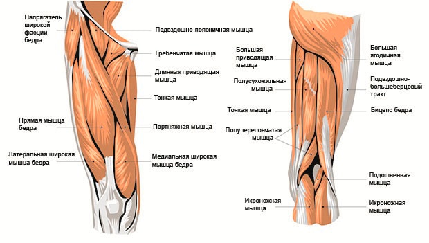 м