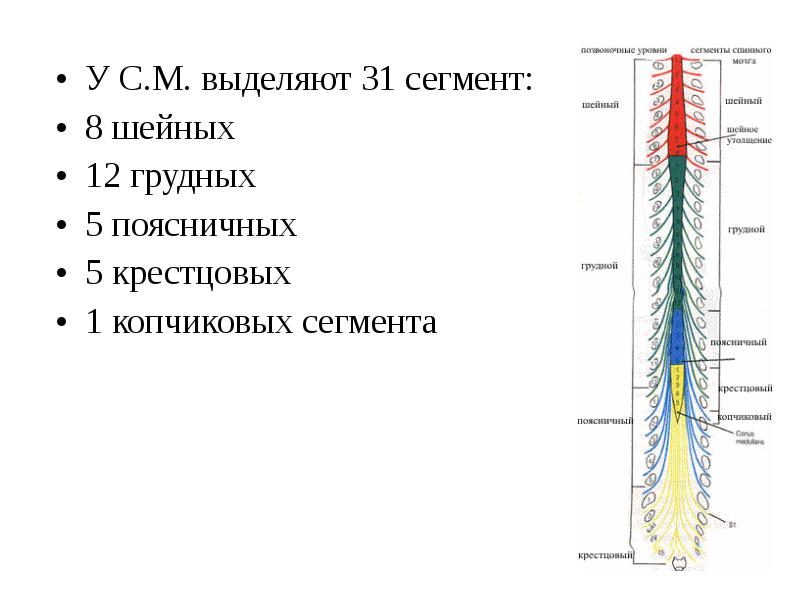 парынер