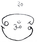 30